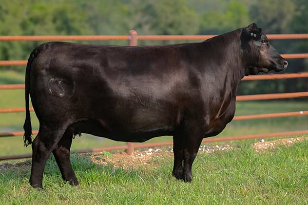 Lot 70