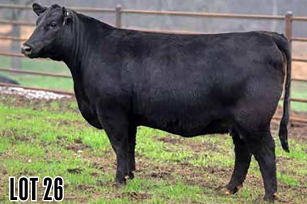 Lot 26 & A