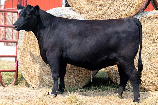 Lot 76