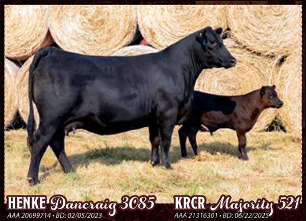 Lot 16 & A