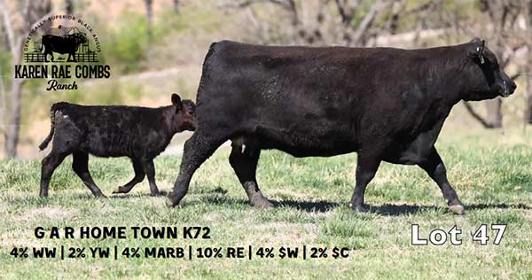 Lot 47 and 47A