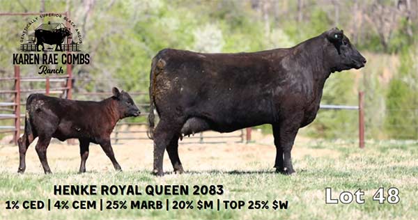 Lot 48 and 48A